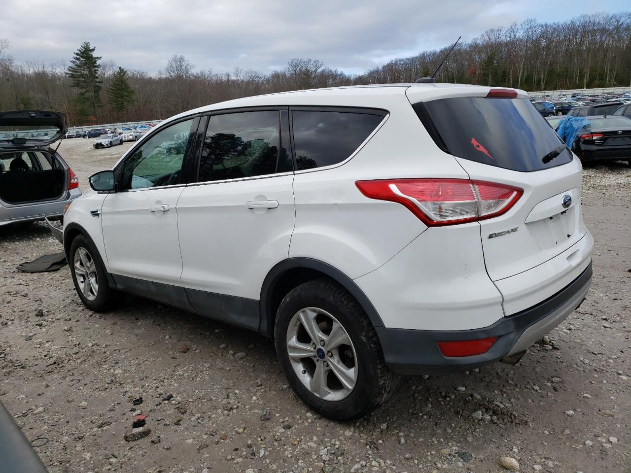 Lot #3030518472 2014 FORD ESCAPE SE