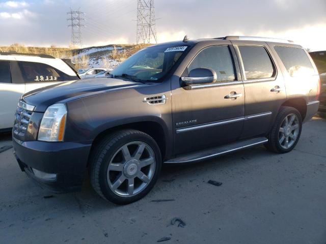 Global Auto Auctions: 2010 CADILLAC ESCALADE L