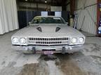 Lot #3023423254 1974 PLYMOUTH SATELLITE