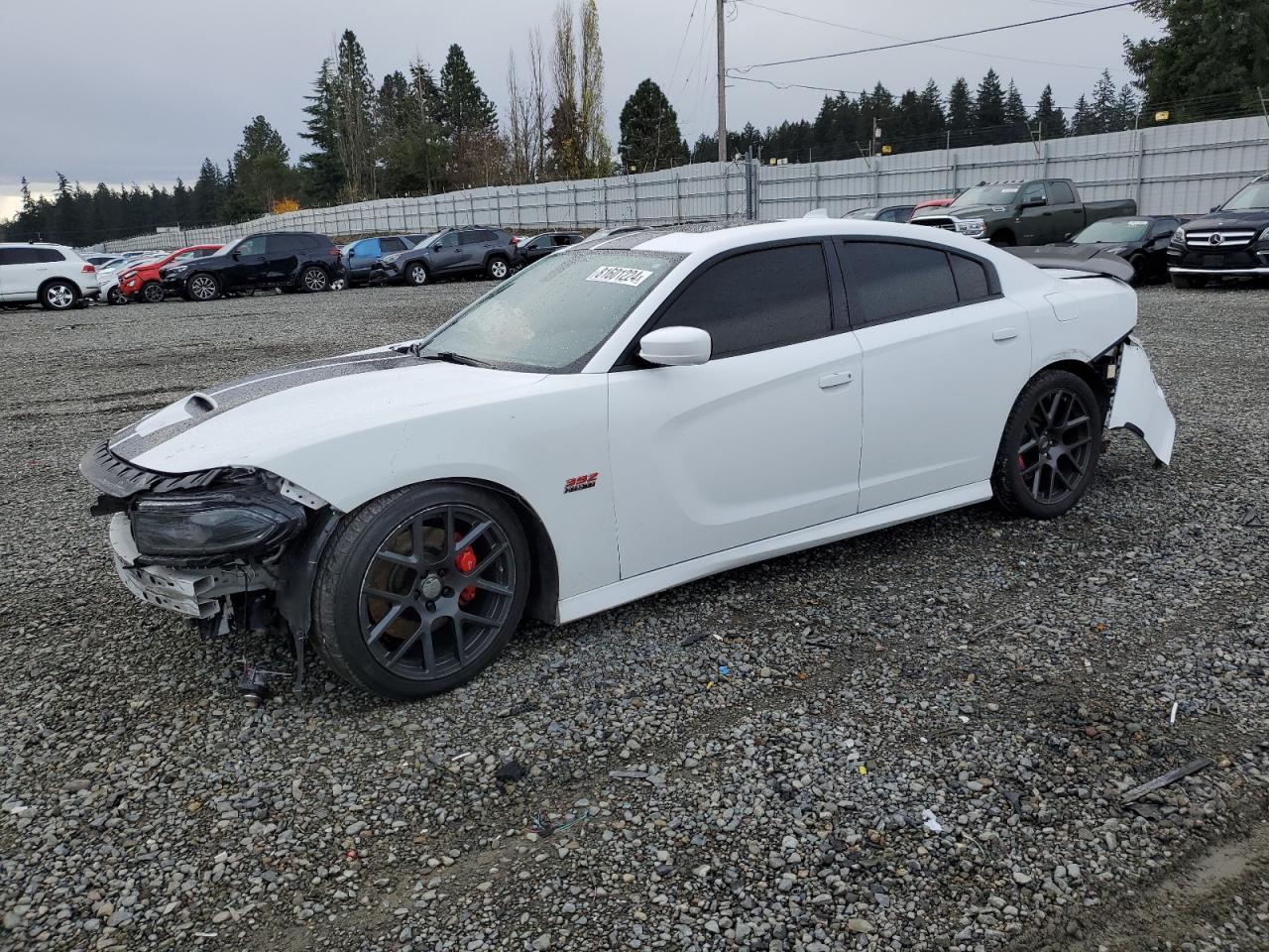 Lot #3034537899 2016 DODGE CHARGER R/