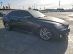 Lot #2960201136 2009 LEXUS IS 250