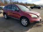 HONDA CR-V EX photo