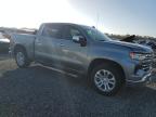 Lot #3024836372 2023 CHEVROLET SILVERADO