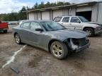 Lot #3006965537 2018 DODGE CHARGER SX