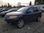 HYUNDAI SANTA FE S photo