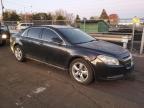 Lot #3023996226 2011 CHEVROLET MALIBU 2LT