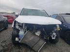 Lot #3024233846 2024 KIA TELLURIDE