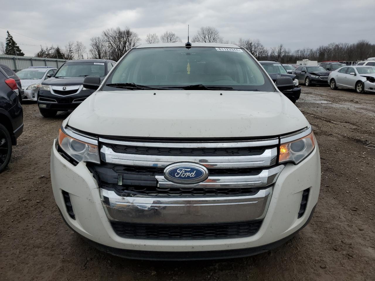 Lot #2991077188 2013 FORD EDGE SE