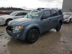 FORD ESCAPE XLT photo