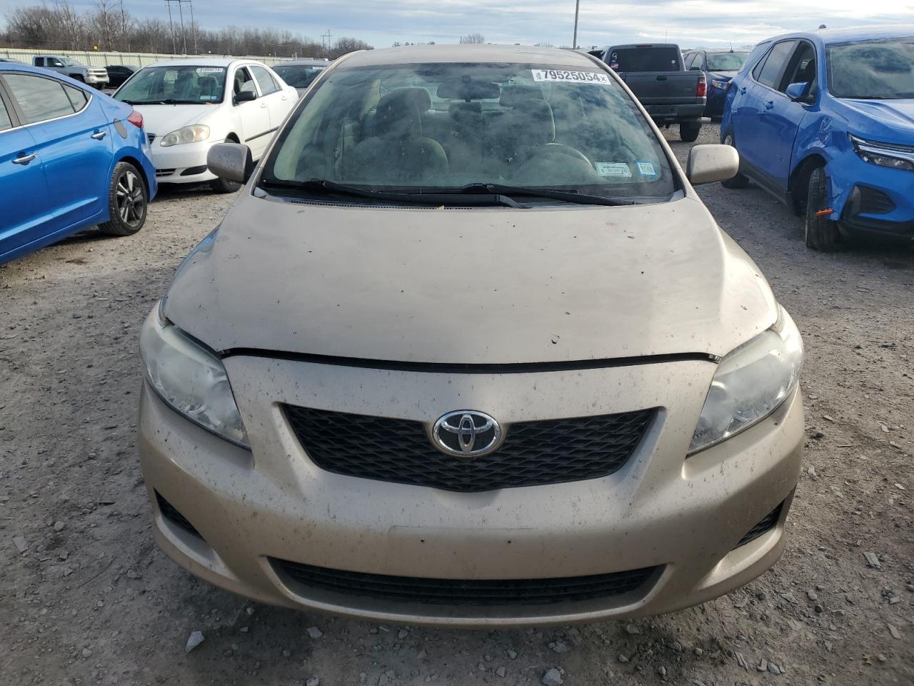 Lot #2988560279 2009 TOYOTA COROLLA BA