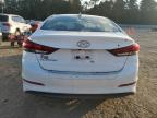 Lot #3025071170 2017 HYUNDAI ELANTRA SE