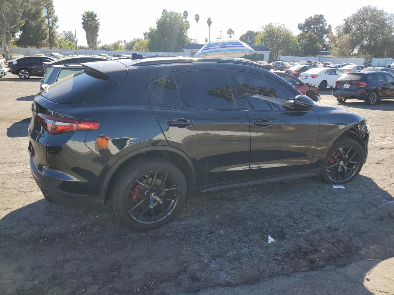 Lot #3036960722 2019 ALFA ROMEO STELVIO