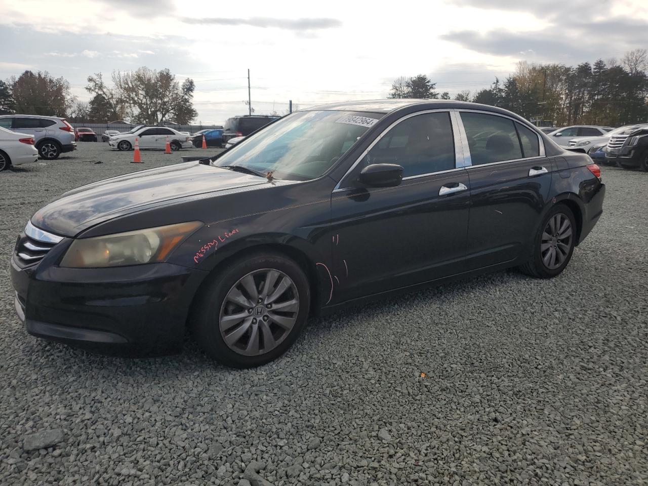 Lot #2972423498 2011 HONDA ACCORD EXL