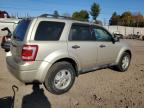 FORD ESCAPE XLT снимка