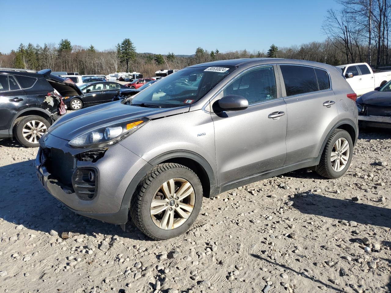 Lot #3009209353 2017 KIA SPORTAGE L