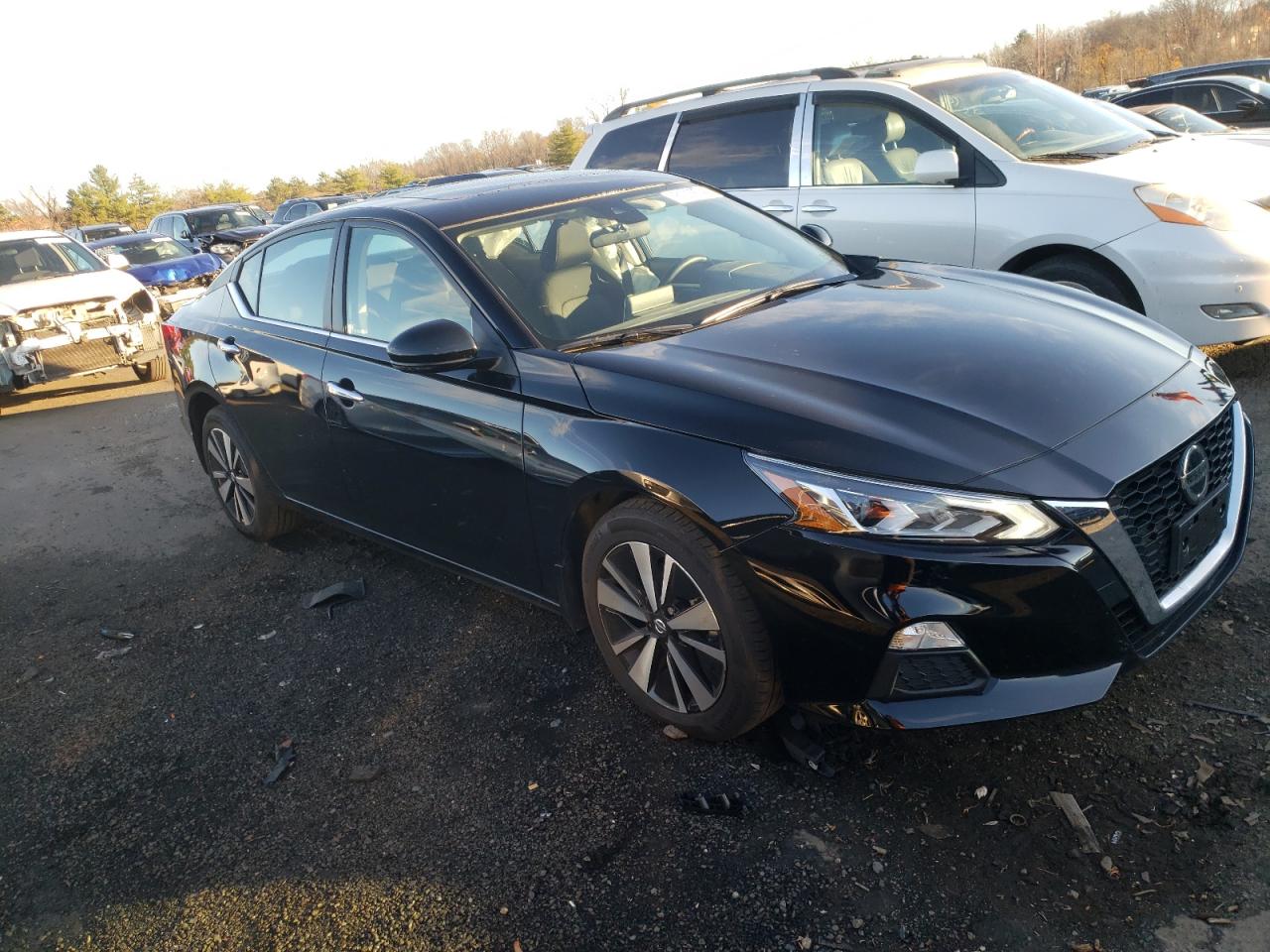 Lot #3034279140 2022 NISSAN ALTIMA SV