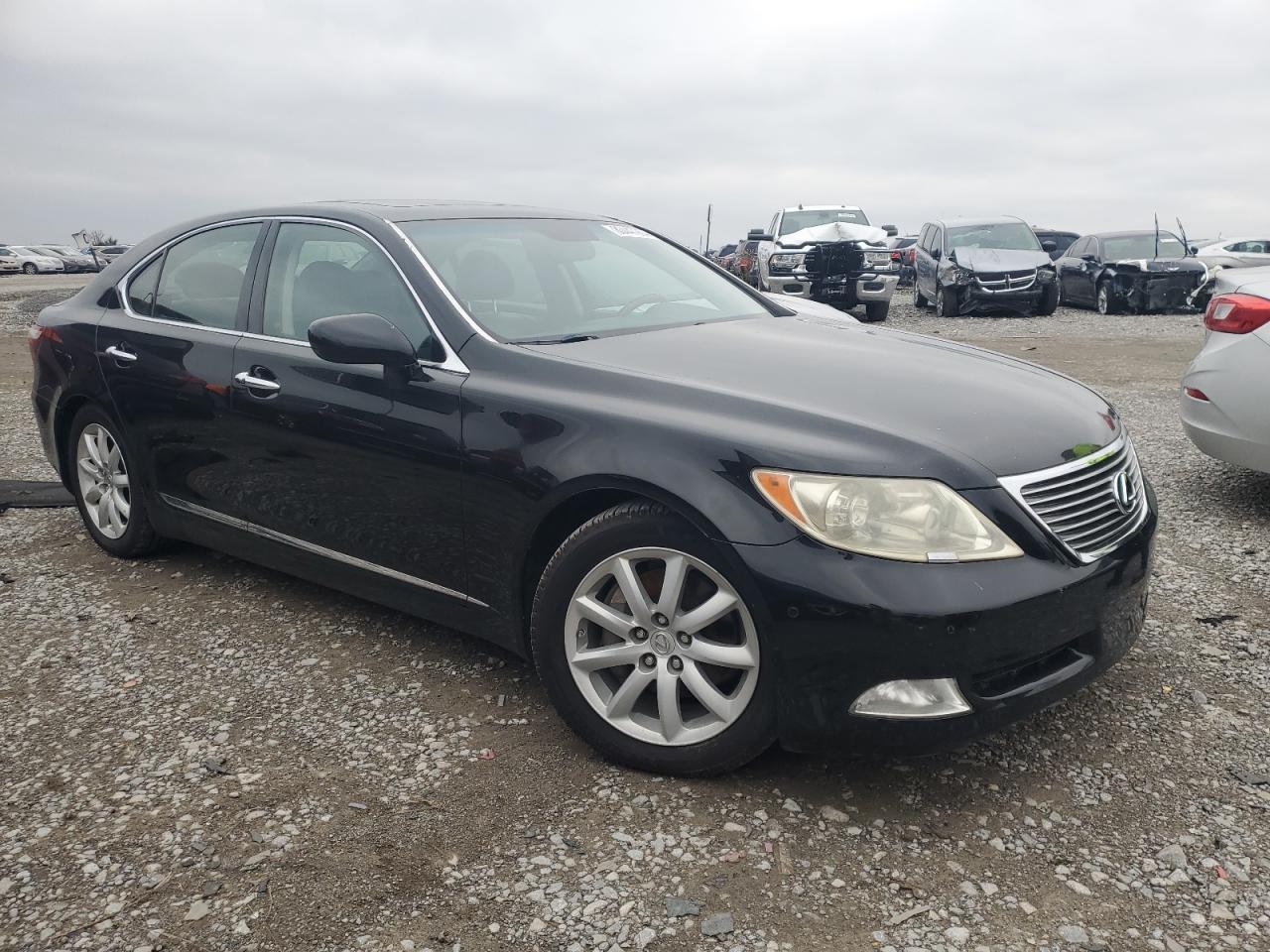 Lot #2986448039 2008 LEXUS LS 460