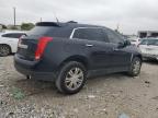 CADILLAC SRX LUXURY photo