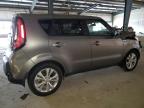 KIA SOUL + photo