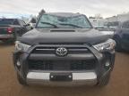 Lot #3024495557 2023 TOYOTA 4RUNNER SE