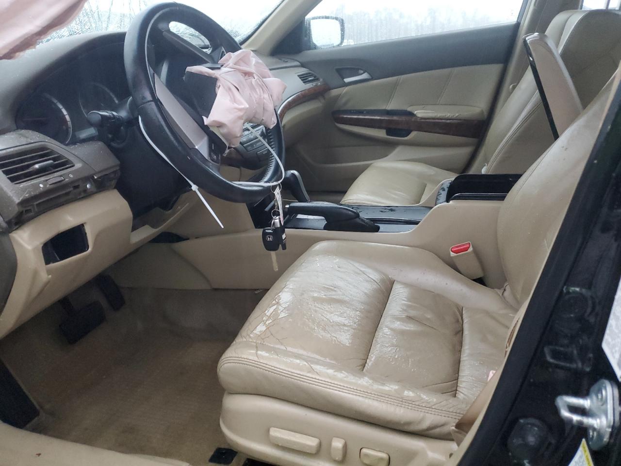 Lot #3024924354 2008 HONDA ACCORD EXL