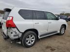 LEXUS GX 460 photo