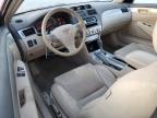 Lot #3004249916 2007 TOYOTA CAMRY SOLA