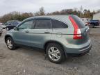 HONDA CR-V EXL photo