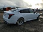 Lot #3023655990 2022 CADILLAC CT5 LUXURY