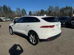 JAGUAR F-PACE PRE photo