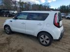 KIA SOUL photo