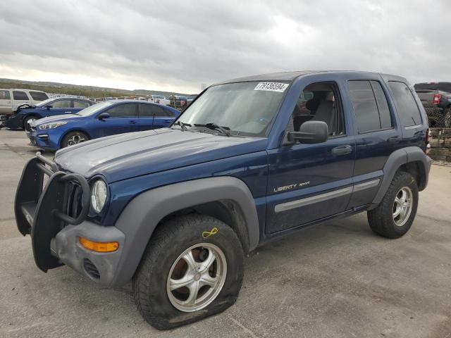 JEEP LIBERTY SP 2002 blue 4dr spor gas 1J8GK48K22W272970 photo #1