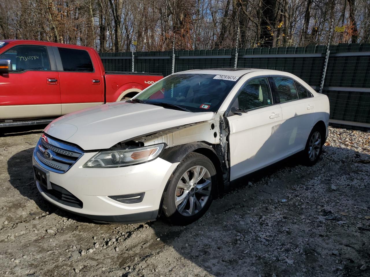 Lot #2994208262 2011 FORD TAURUS SEL