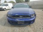 Lot #3024620667 2013 FORD MUSTANG