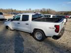 Lot #3006731504 2024 CHEVROLET COLORADO