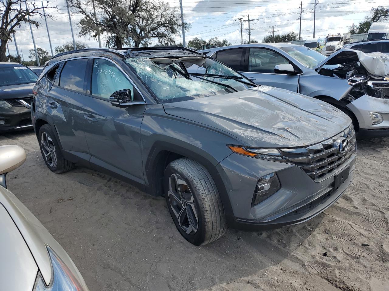 Lot #2989158045 2024 HYUNDAI TUCSON LIM