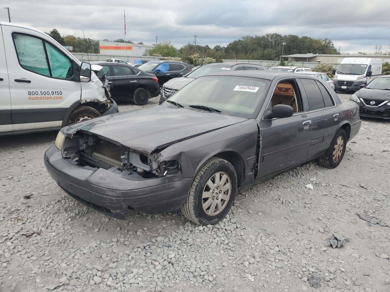 Lot #3023474265 2007 FORD CROWN VICT