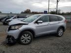 HONDA CR-V EX photo