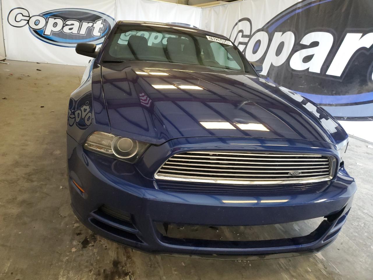 Lot #2996596650 2013 FORD MUSTANG