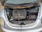 VOLKSWAGEN NEW BEETLE photo