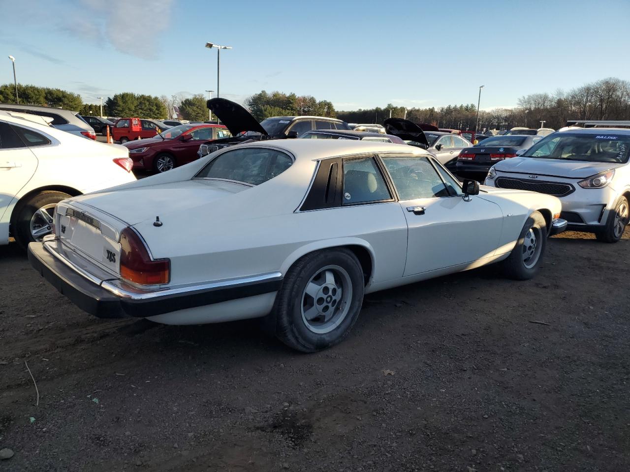 Lot #2993840668 1982 JAGUAR XJS