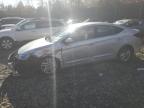 Lot #3024590661 2020 HYUNDAI ELANTRA SE