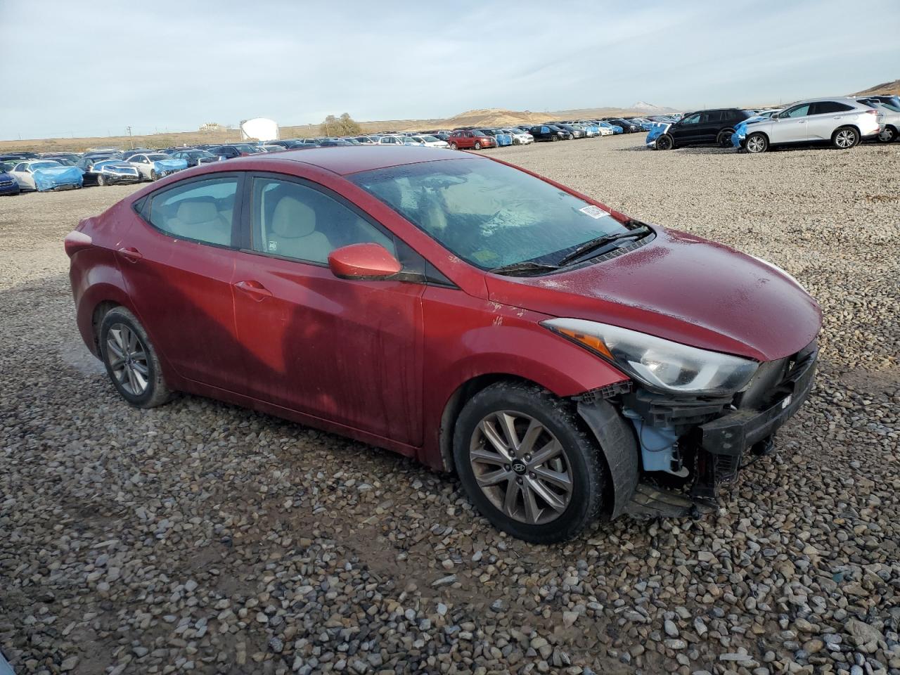 Lot #2974853069 2014 HYUNDAI ELANTRA SE