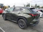 Lot #3034766637 2023 LEXUS NX 350