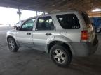 FORD ESCAPE XLT photo