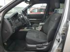 Lot #3033493100 2009 FORD ESCAPE XLT