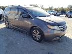 HONDA ODYSSEY EX photo