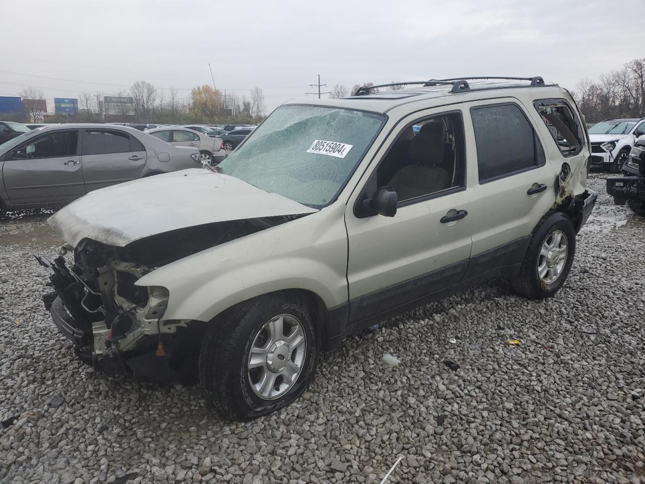 Lot #3030637146 2004 FORD ESCAPE XLT