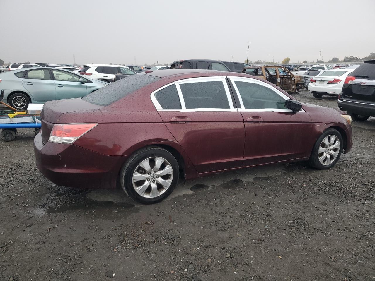 Lot #2994068266 2009 HONDA ACCORD EXL