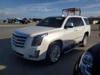 CADILLAC ESCALADE P photo